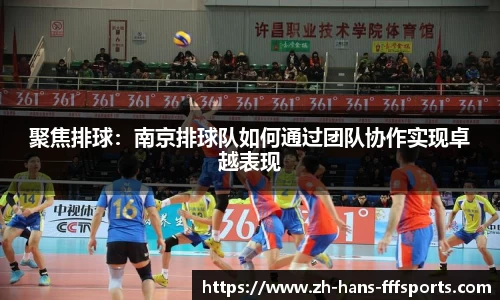 聚焦排球：南京排球队如何通过团队协作实现卓越表现
